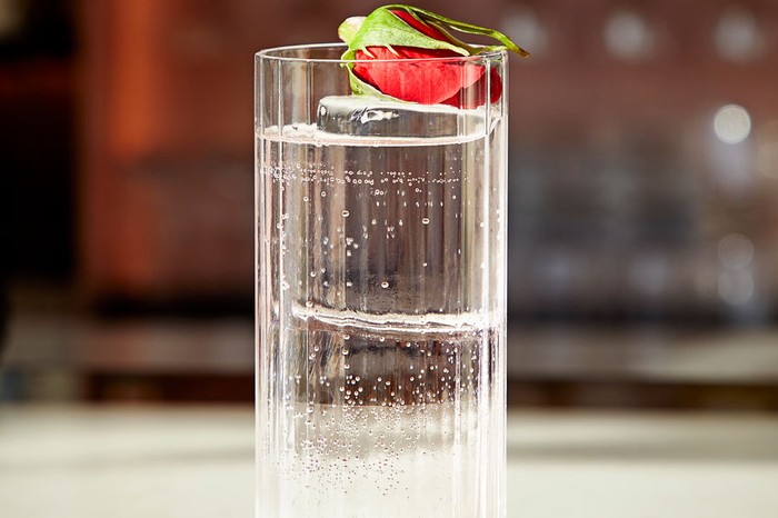Highball glass filled with mezcal and elderflower cocktail and rose garnish